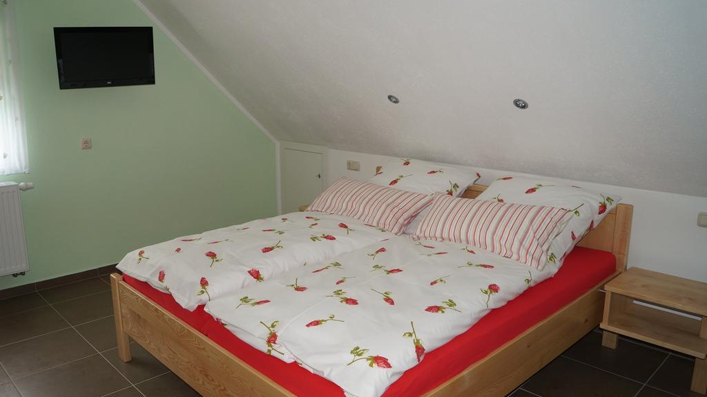 Gasthaus & Pension Lisas-Welt Wasserkuppe Ehrenberg  部屋 写真
