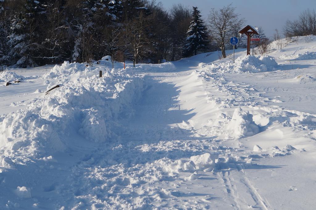 Gasthaus & Pension Lisas-Welt Wasserkuppe Ehrenberg  エクステリア 写真
